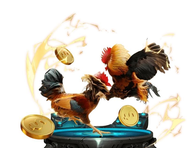 Chiến thuật đá gà AE888 ME